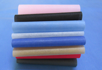 贵德涤纶（PET）无纺布是什么